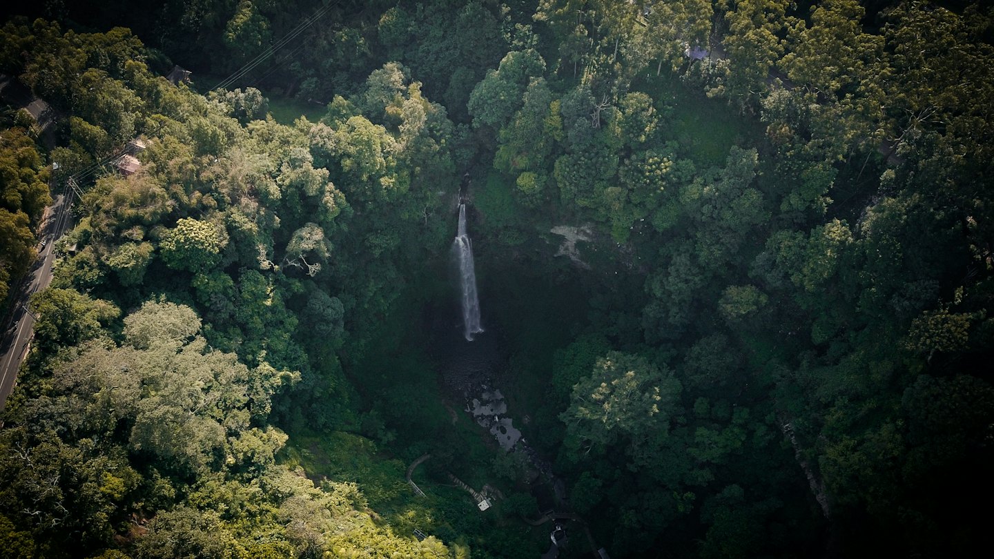 Waterfall flowing into a forest pool near a road.